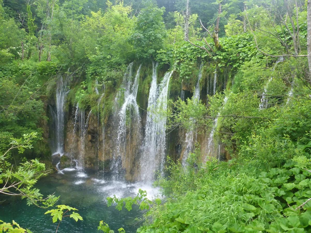 Nature & Outdoors